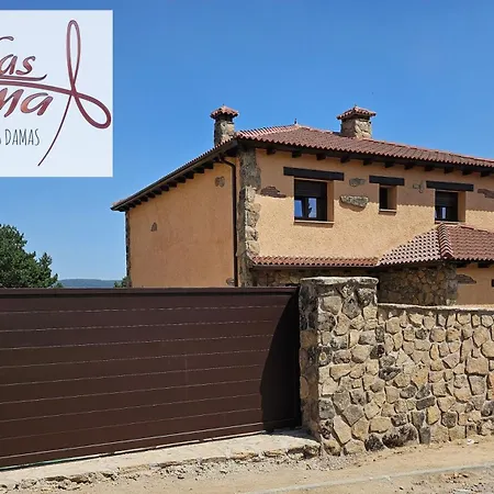 Tatil Evi Damas