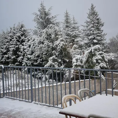 Damas Nyaraló Ávila