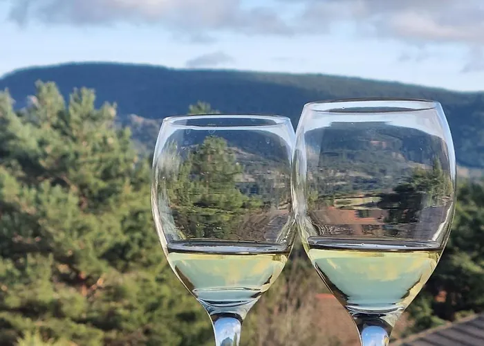 Damas Дом отдыха *